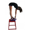 Flexometre Takei | Mtraining