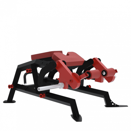 BXT33 - LEG CURL ALLONGE ISCHIOS