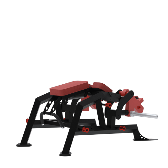 BXT33 - LEG CURL ALLONGE ISCHIOS