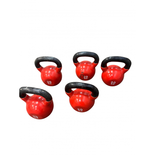 Kettlebell 20 kg vendus en l'état