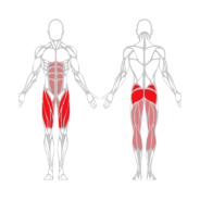 PRESSE A JAMBES 45 deg - Gamme Evolution | Mtraining