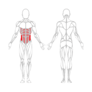 ROTATION DU TORSE - Gamme Evolution