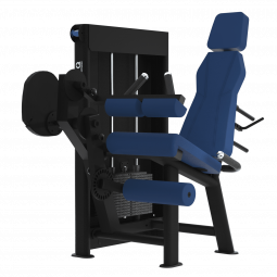 LEG CURL ASSIS - Gamme Evolution