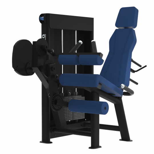 LEG CURL ASSIS - Gamme Evolution