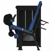 LEG CURL ASSIS - Gamme Evolution