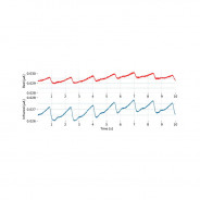 Capteur fNIRS - biosignalsplux
