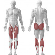 BXT26 - PRESSE A JAMBES 30°