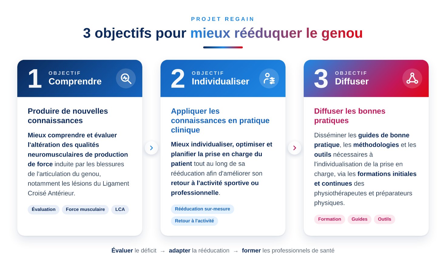 Les 3 objectifs du projet ReGAIN : comprendre, individualiser, diffuser
