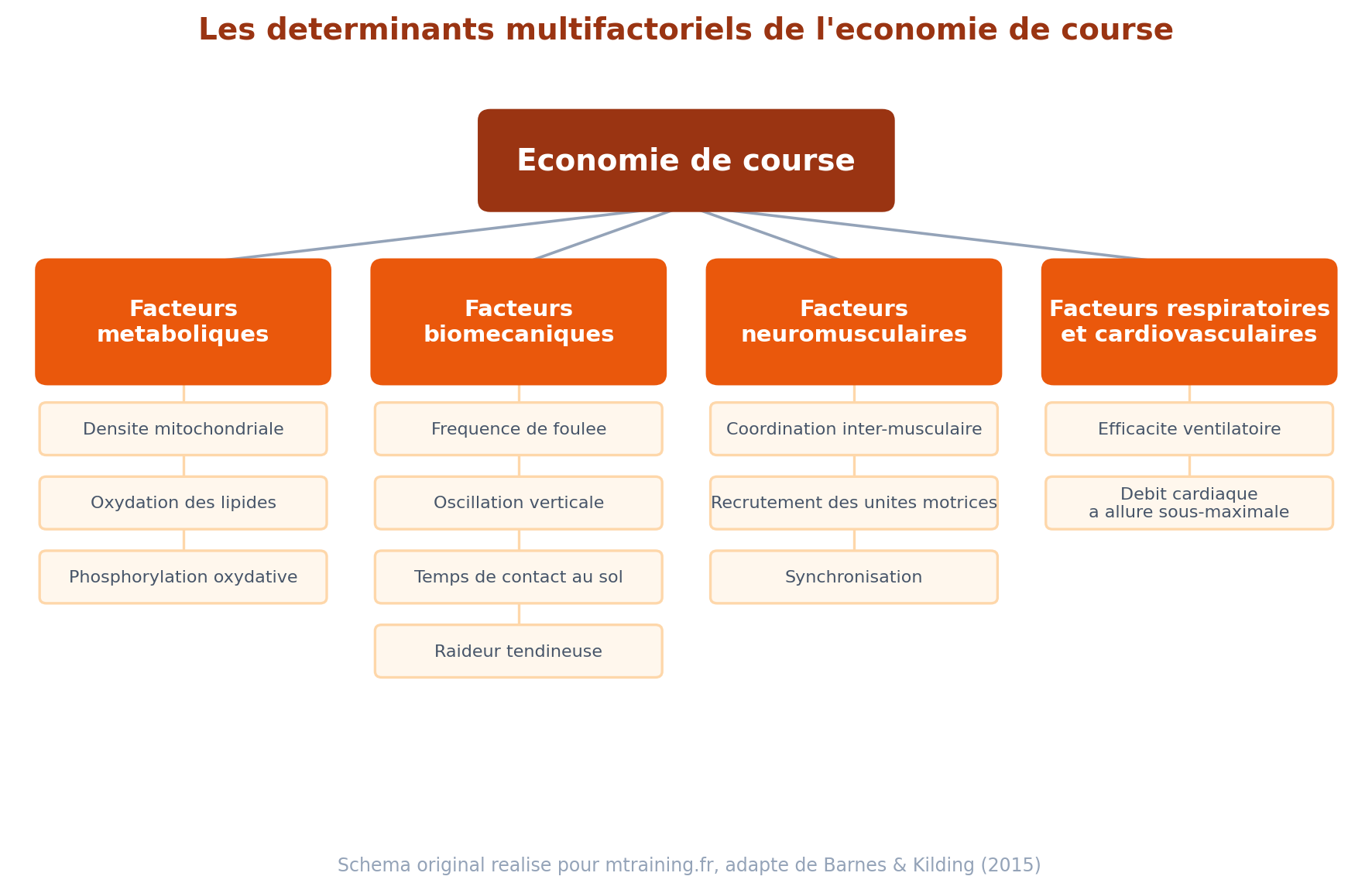 Schéma des déterminants multifactoriels de l'économie de course